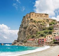 Scilla Scilla