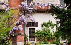 milano giardino botanico di brera