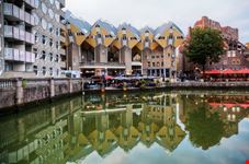 rotterdam case cubiche