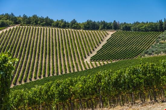 Vertine Radda in Chianti Emanuele Mazzoni Photo - Shutterstock Emanuele Mazzoni Photo