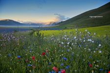Castelluccio di Norcia