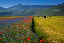 Castelluccio di Norcia