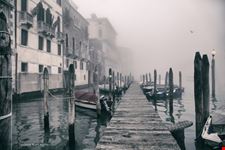 nebbia a venezia venezia