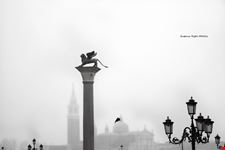 venezia venezia