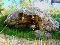 Grottona