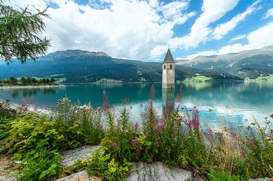 Campanile sommerso Curon Venosta Shutterstock 