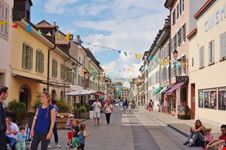 carouge ginevra
