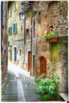 Todi