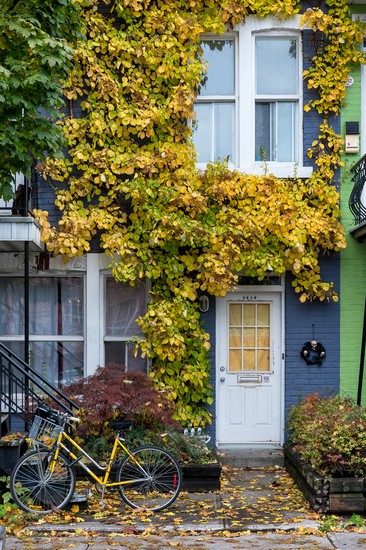 montreal plateau mont royal