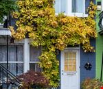 montreal plateau mont royal montreal plateau mont royal