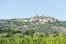 Castello di Montemassi
