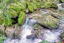 santiago de compostela parco naturale della fraga do eume