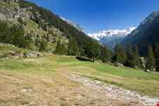 Verso il lago