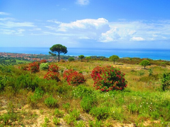 Crinale degli Dei