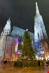 vienna vienna