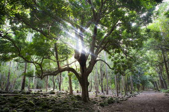 Parco Nazionale delle gole del Fiume Nero