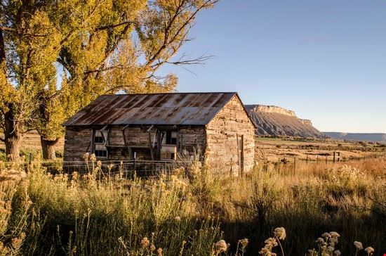  Denver Julie Gropp - Shutterstock Julie Gropp