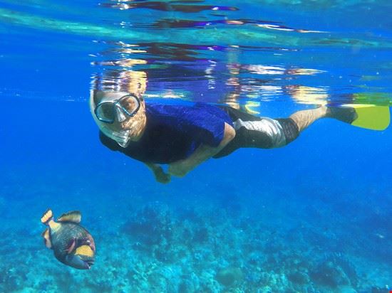 Snorkeling - Davdeka - Davdeka - Shutterstock