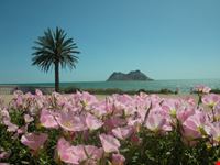 hermosillo kino bay