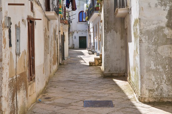 Mottola