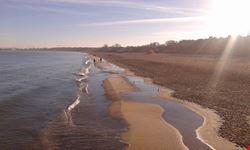 danzica il molo di danzica