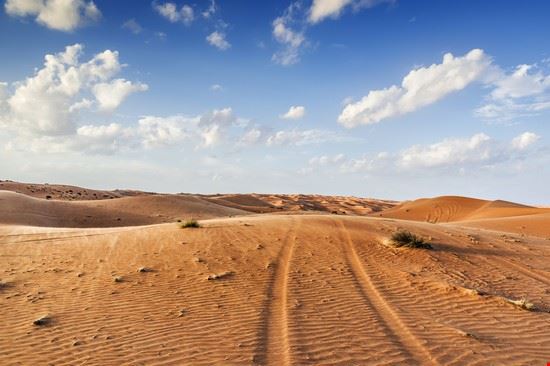  Muscat Wolfgang Zwanzger - Shutterstock Wolfgang Zwanzger