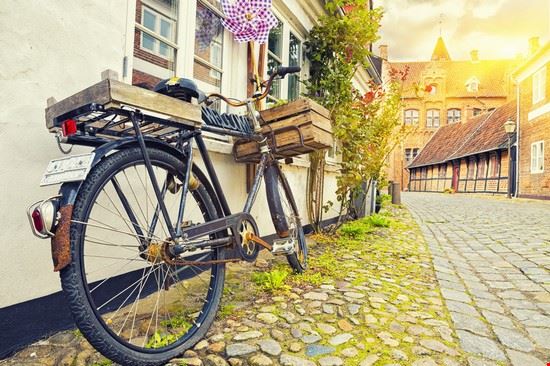  Ribe Dmitry Pistrov - Shutterstock Dmitry Pistrov