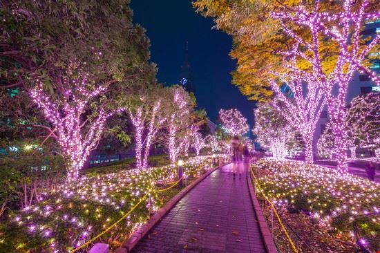 giardini Tokyo Patryk Kosmider - Shutterstock Patryk Kosmider