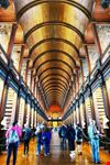 trinity college dublino