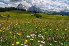 selva di val gardena sassolungo