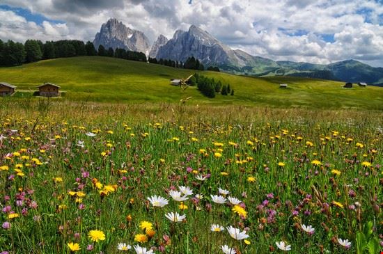 Sassolungo Selva di Val Gardena Dan74 - Shutterstock Dan74