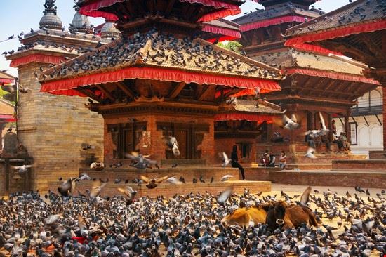 Durbar Square - MOROZ NATALIYA / Shutterstock.com - MOROZ NATALIYA / Shutterstock.com