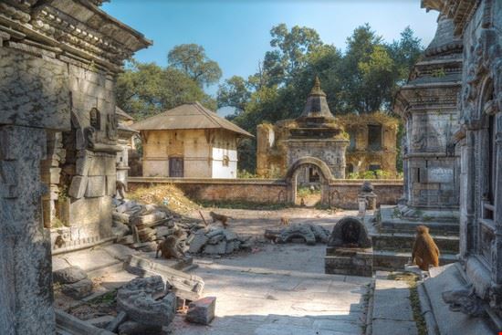 Tempio di Pashupatinath - Skreidzeleu - Skreidzeleu - Shutterstock