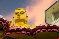 dambulla