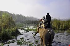 Parco Nazionale di Chitwan