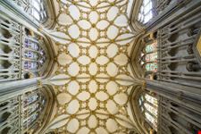 cattedrale york