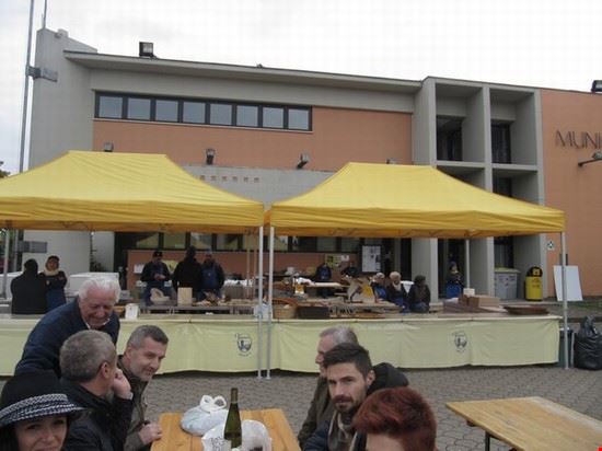  Parte anteriore del Comune di Vigolzone .  