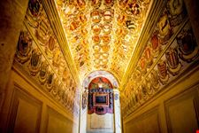 bologna biblioteca
