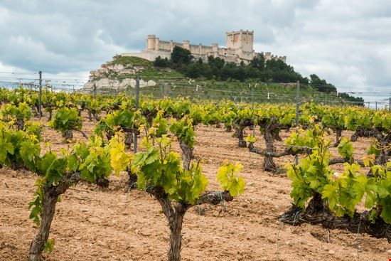  Valladolid Noradoa - Shutterstock Noradoa