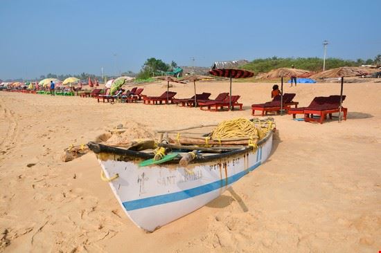  Goa Olga Vasilyeva / Shutterstock, Inc. Olga Vasilyeva / Shutterstock, Inc.
