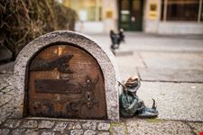 wroclaw gnomi