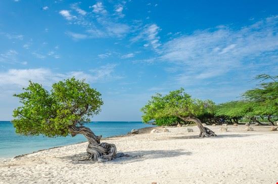 Eagle Beach - Junior Braz - Junior Braz - Shutterstock