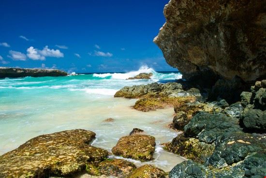  Aruba Ray Berthiaume - Shutterstock Ray Berthiaume