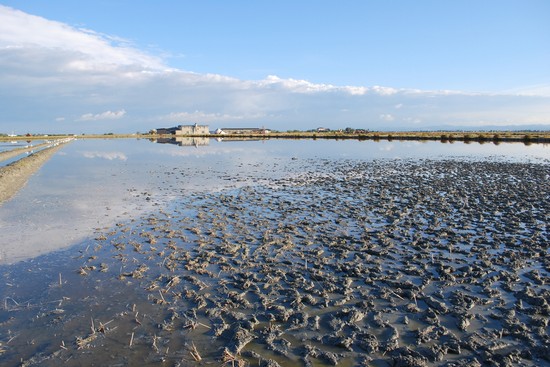 Parco della Salina