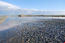 Parco della Salina