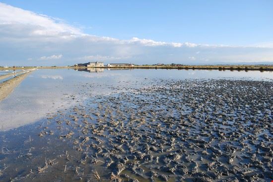 Parco della Salina Cervia Crisferra - Shutterstock Crisferra