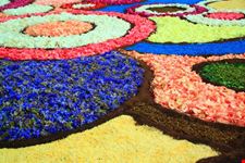 Infiorata