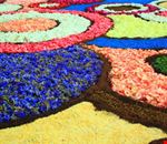 Infiorata Infiorata