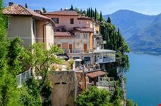 Tremosine