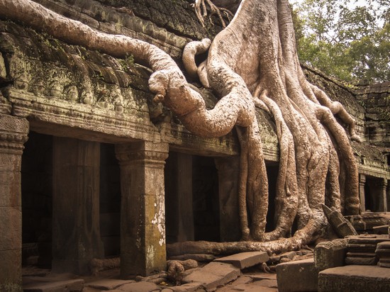 Ta Phrom